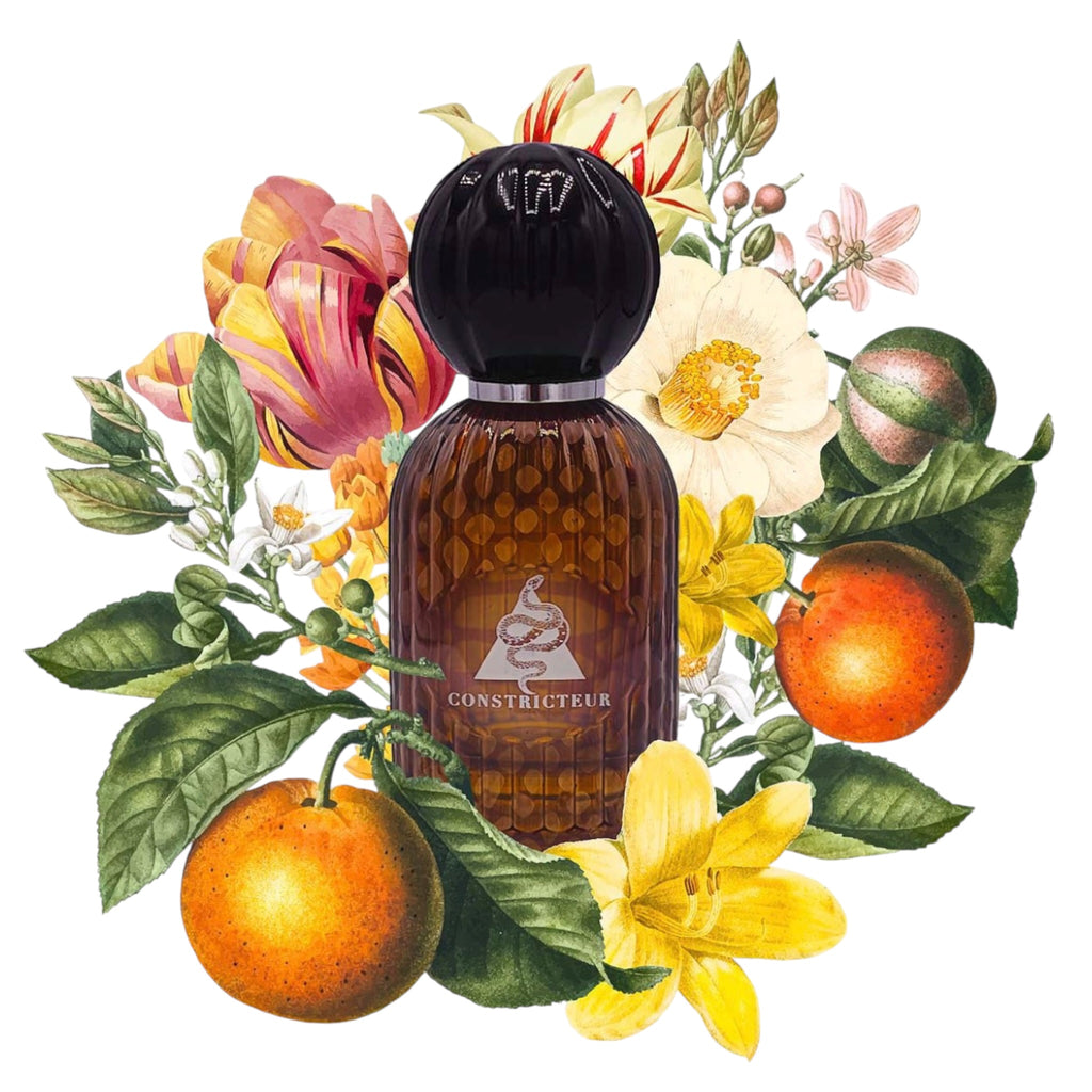 Les Folies Du Parfum Constricteur 100ml